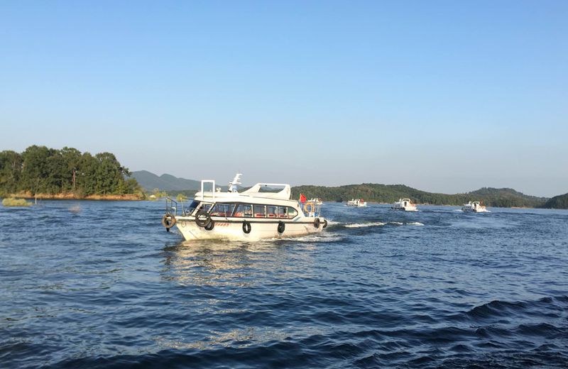 1546595139523834.jpg 1546595139523834.jpg