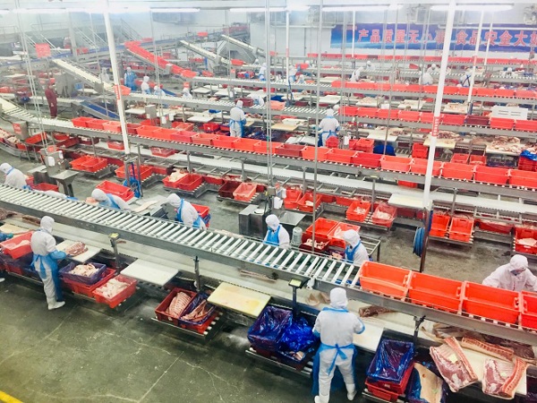 1561110357779631.jpg 3.jpg