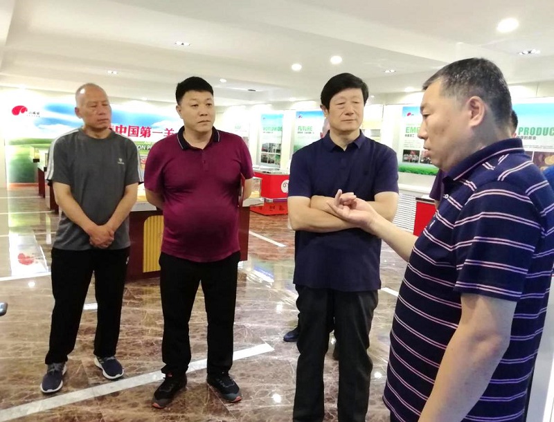 1564133566994753.jpg 1564133566994753.jpg