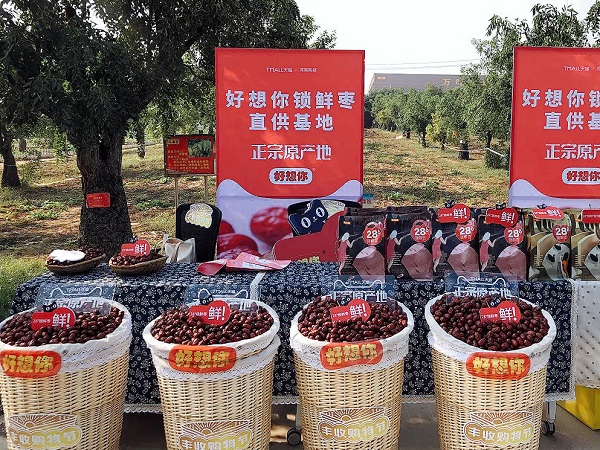 1569491734544203.jpg 圖片6.jpg