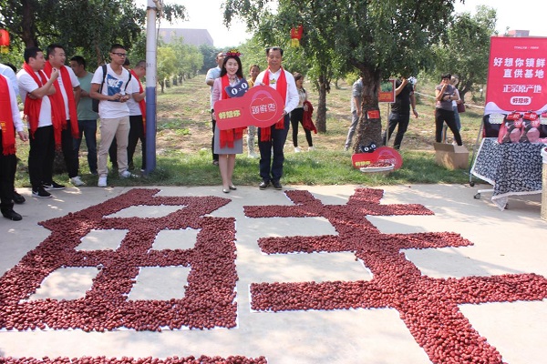 1569491751458849.jpg 圖片7.jpg