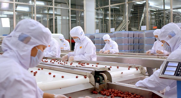 1569491831559186.jpg 圖片13.jpg