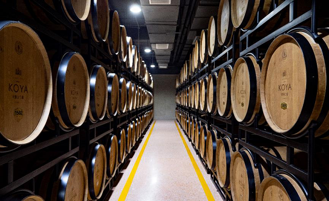 1585020487227940.png 圖片1.png