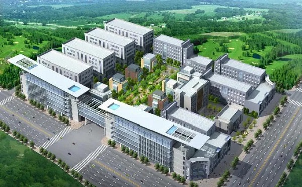 1585389460760617.jpg 2.webp.jpg