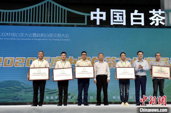 圖為大會上舉行2020年度中國白茶產(chǎn)業(yè)發(fā)展示范縣授牌儀式?!∪钯幻?攝 圖為大會上舉行2020年度中國白茶產(chǎn)業(yè)發(fā)展示范縣授牌儀式?!∪钯幻?攝