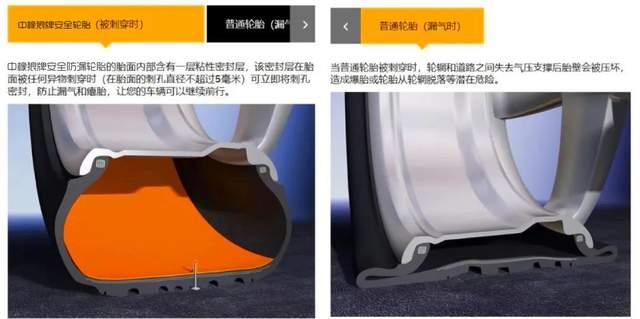 1650329519139709.jpg 7.jpg