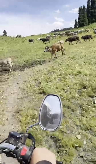 1656039026325817.png 圖片3.png