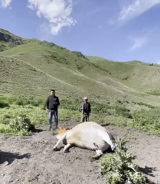 1656039071213074.png 圖片5.png