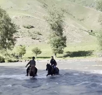 1656039040248307.png 圖片4.png