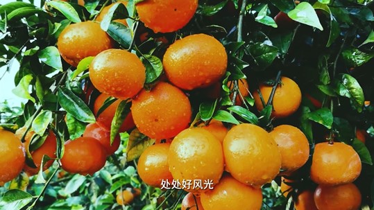 如圖片無法顯示,請刷新頁面