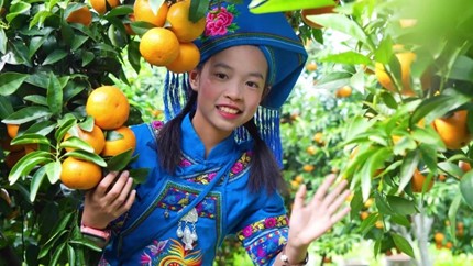 如圖片無法顯示,請刷新頁面