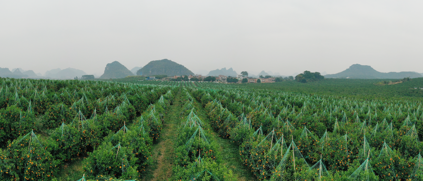 如圖片無法顯示,請刷新頁面 如圖片無法顯示,請刷新頁面